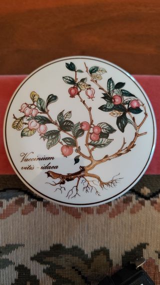 Portagioie ceramica Botanica Villeroy