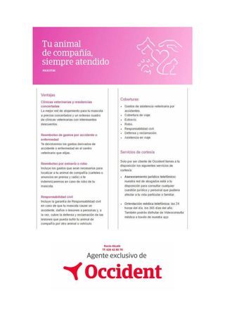 Agente de seguros Occident