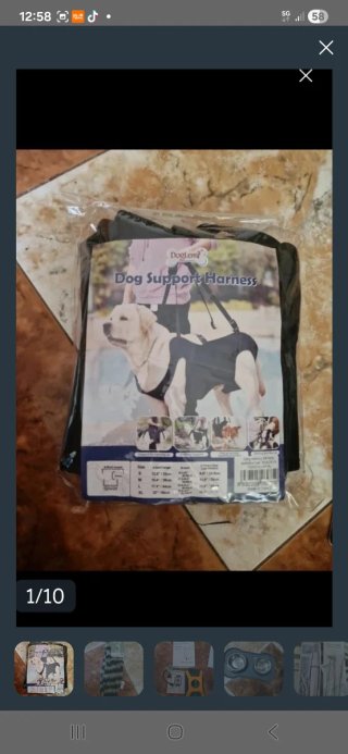 Cosas para mascota