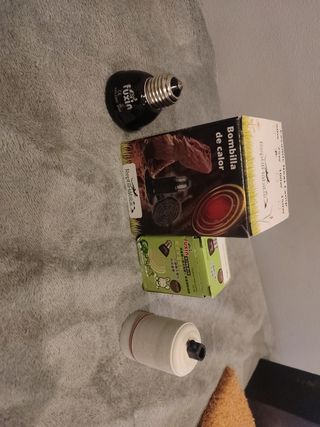 Bombillas cerámicas terrario, pollitos