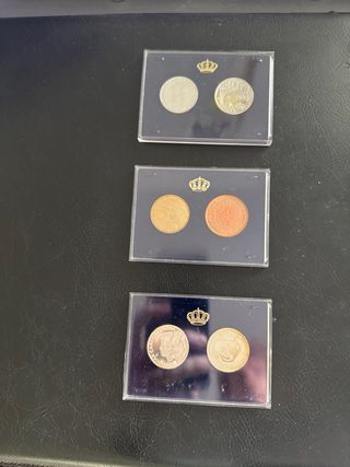 XXV ANIVERSARIO DE LA BODA DE SS.MM DE LOS REYES