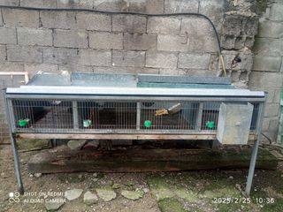 Jaulas de gallinas, perdices o conejos