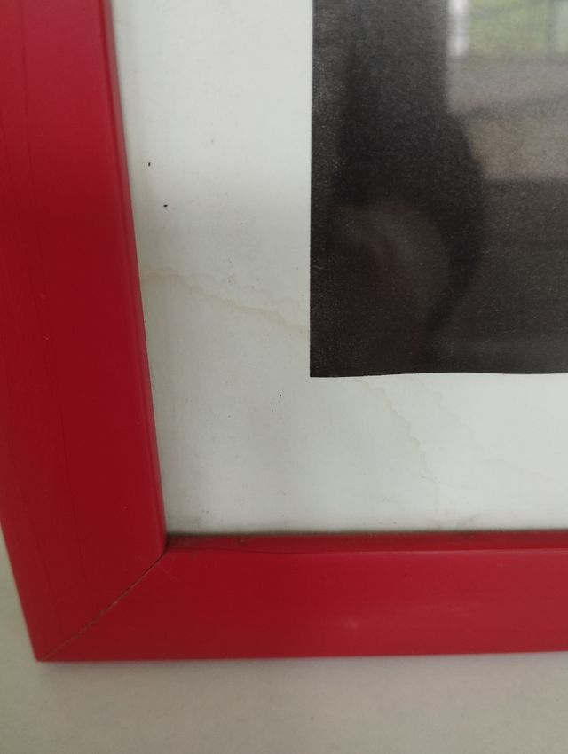 Poster incorniciato Elvis Presley