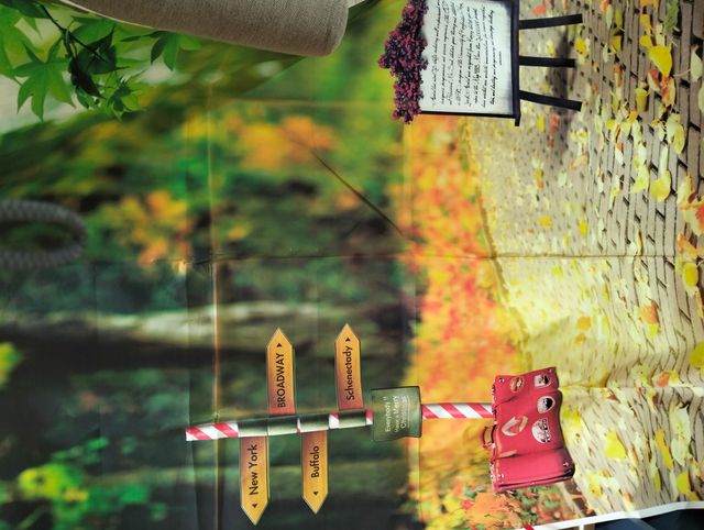 Teli sfondo servizi fotografici e feste