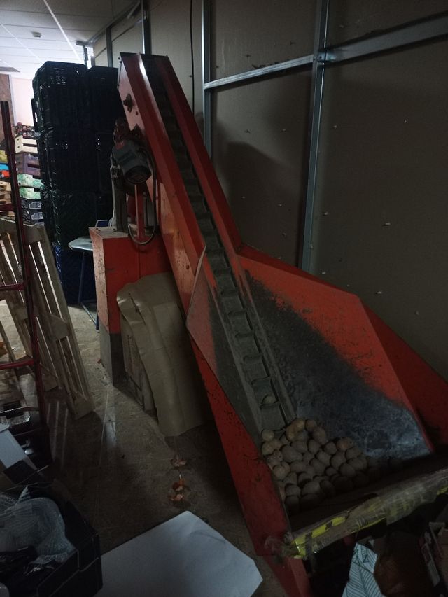 Envasadora de patatas, cebollas, naranja