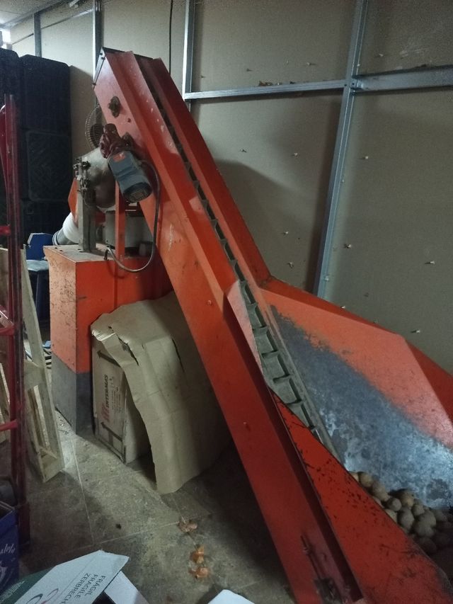 Envasadora de patatas, cebollas, naranja