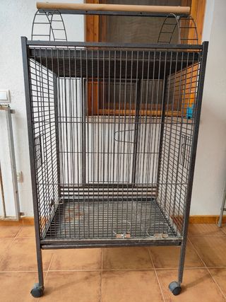 Jaula loro grande