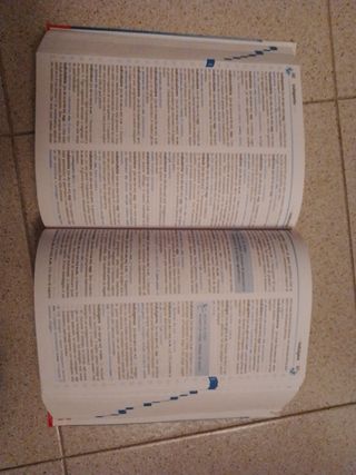 Nuovo dire. Dizionario della lingua italiana. Con CD-ROM