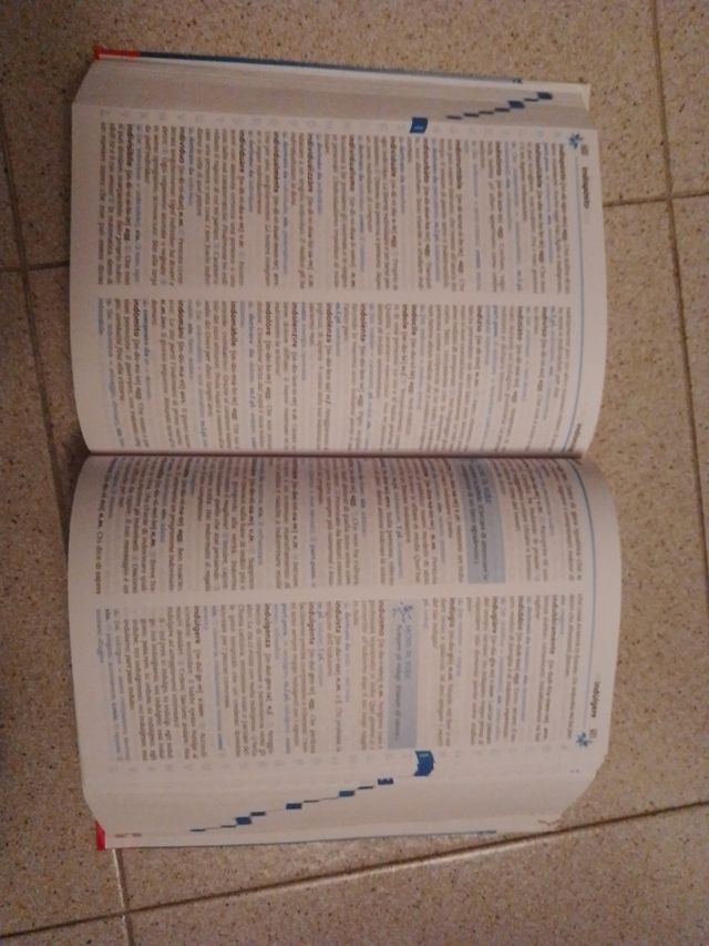 Nuovo dire. Dizionario della lingua italiana. Con CD-ROM