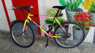 MTB bici 26 cromo 