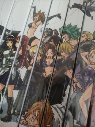 Fairy tail edición integral