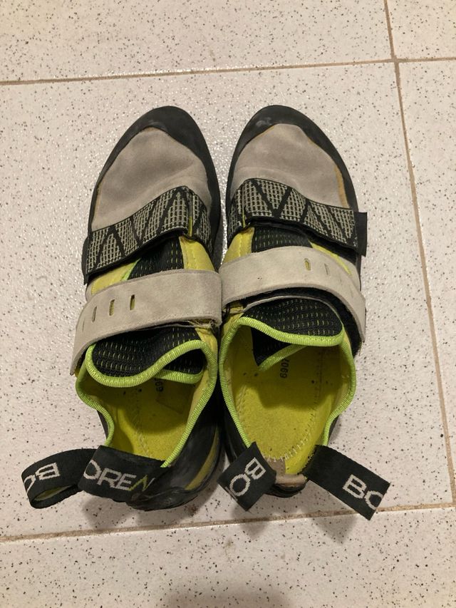 Pies de gato Boreal. 40 1/4