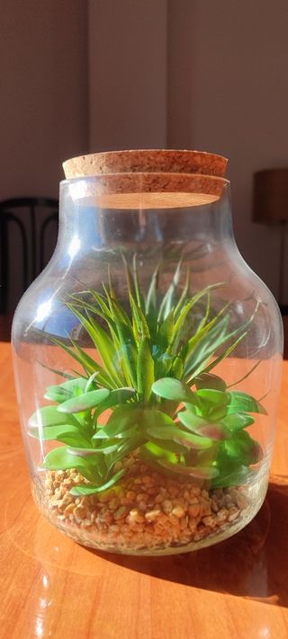 Terrario plantas artificiales