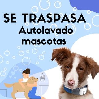 SE TRASPASA LOCAL EN EL BARRIO DEL CARMEN