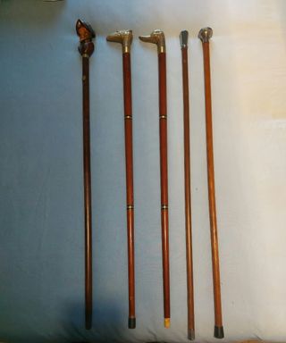 Set di bastoni da passeggio