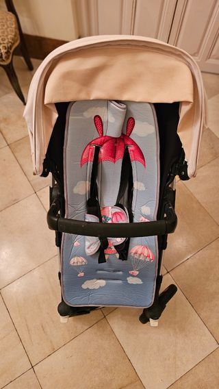 Carro Bugaboo Buffalo