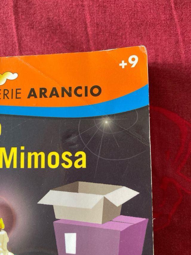 Il tesoro di Villa Mimosa