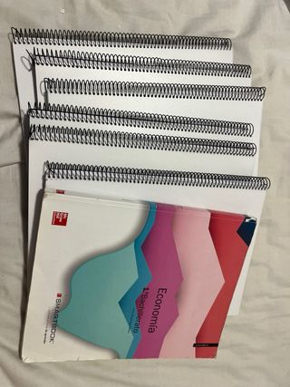 Temario secundaria Economia +Libro programacion 