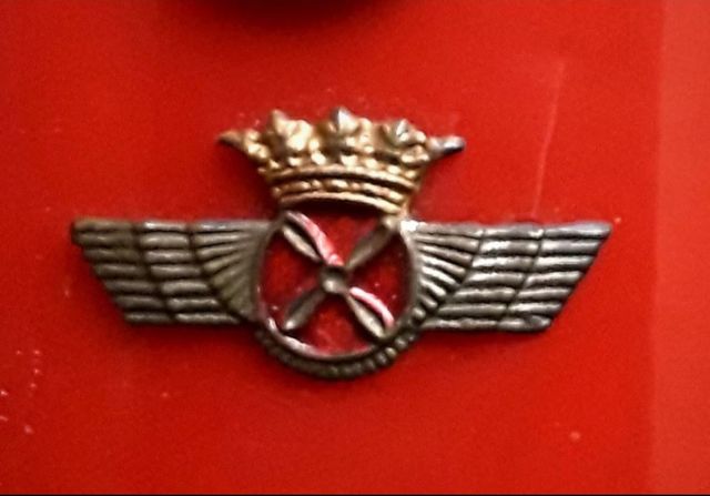 Hombreras Unifotme blanco Aviacion *