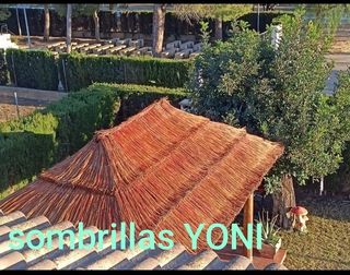 Sombrillas de carri verzo mimbre