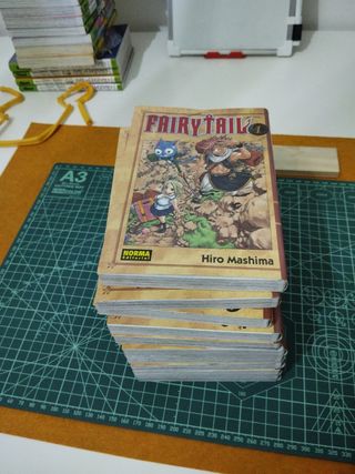 Manga Fairy Tail vol.1 al vol.10