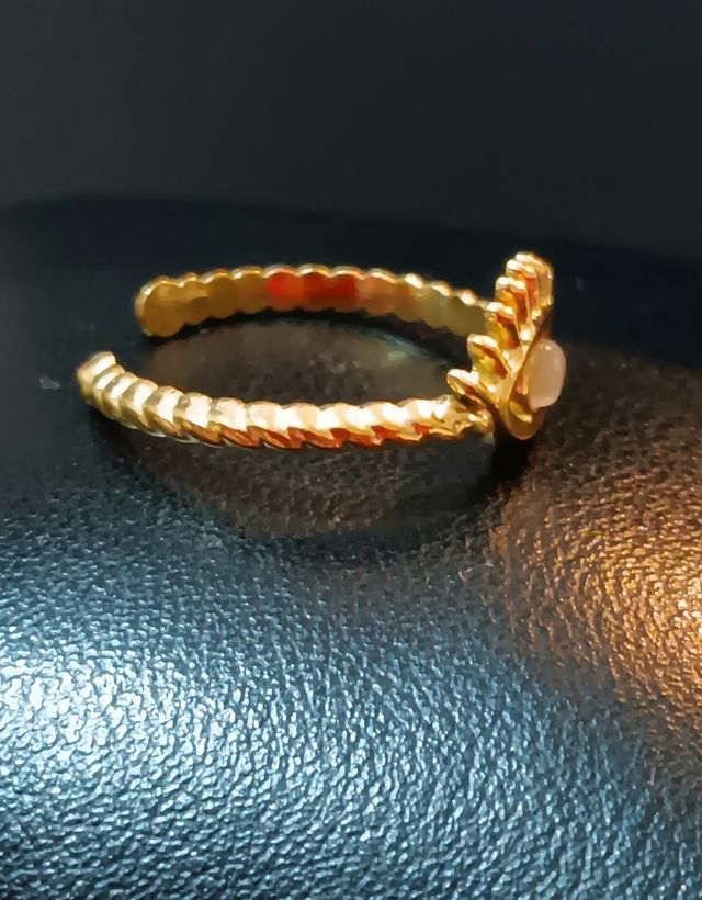 Abiilo Ojo proteccion