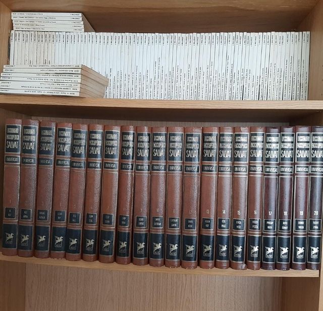 Diccionario enciclopédico Salvat universal 20tomo