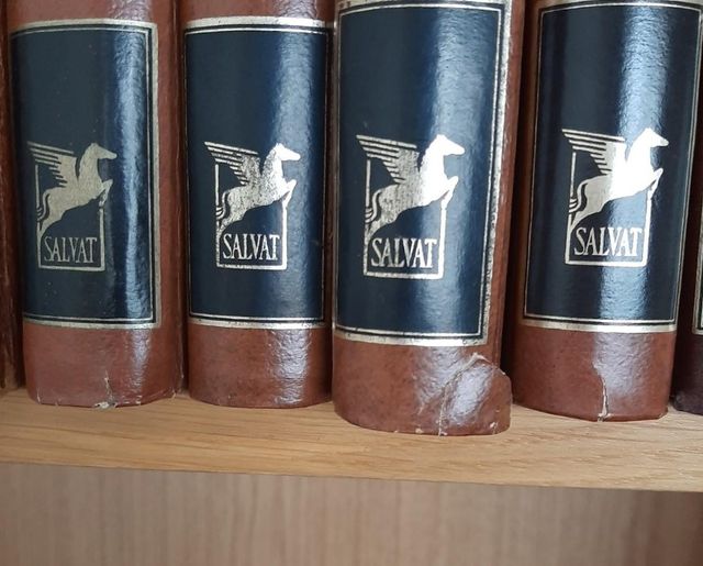 Diccionario enciclopédico Salvat universal 20tomo