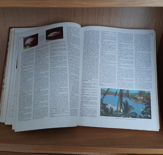 Diccionario enciclopédico Salvat universal 20tomo