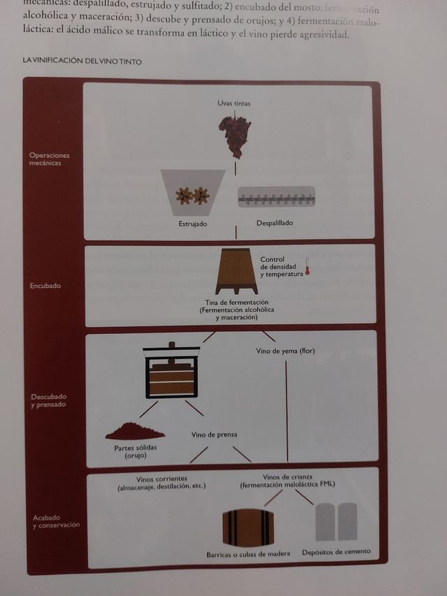 Cata de vinos. Muñoz Ramos