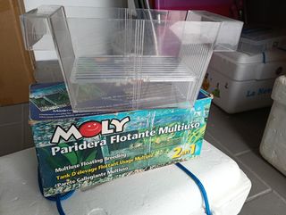 Separador para crías de peces de acuario