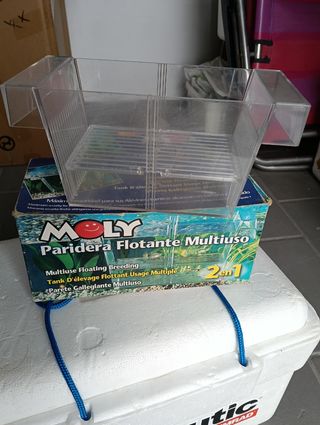 Separador para crías de peces de acuario