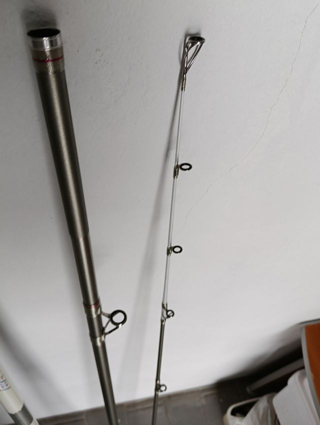 Caña grauvell vertix