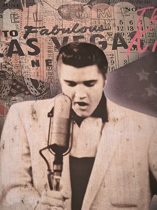 Elvis e Marylin in Cuadro