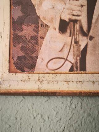 Elvis e Marylin in Cuadro