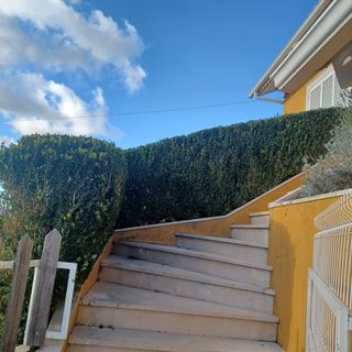 Jardinero económico 