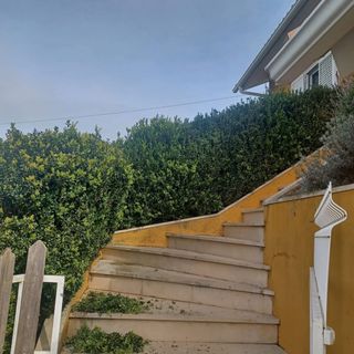 Jardinero económico 
