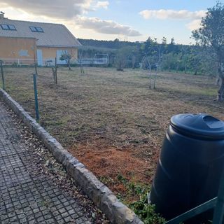 Jardinero económico 