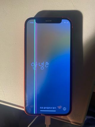 iphone 12 mini 