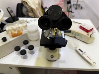 Microscopio binocular EcoBlue de Euromex