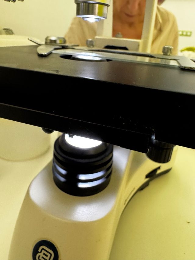 Microscopio binocular EcoBlue de Euromex