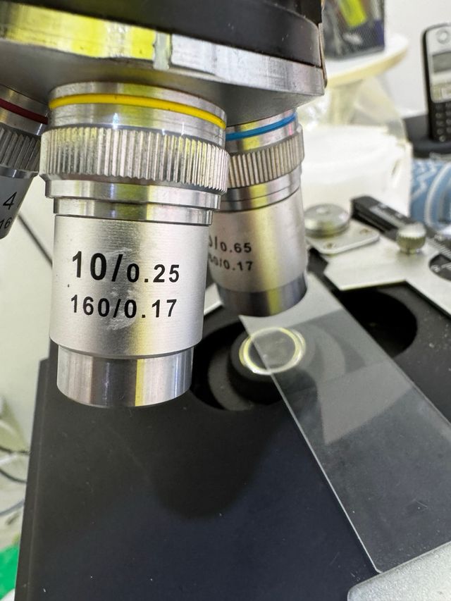 Microscopio binocular EcoBlue de Euromex