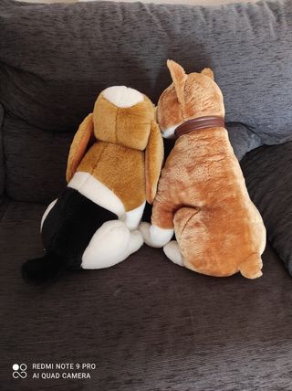 Lote de Peluches perros