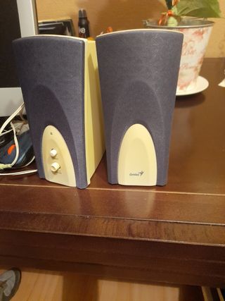 Pantalla de ordenador y altavoces