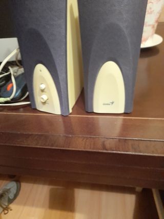 Pantalla de ordenador y altavoces