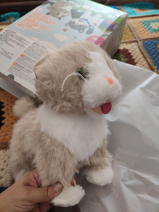 Gato eléctrico para niños 