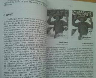 HÉROES Y ENAMORADAS LA NOVELA POPULAR ESPAÑOLA