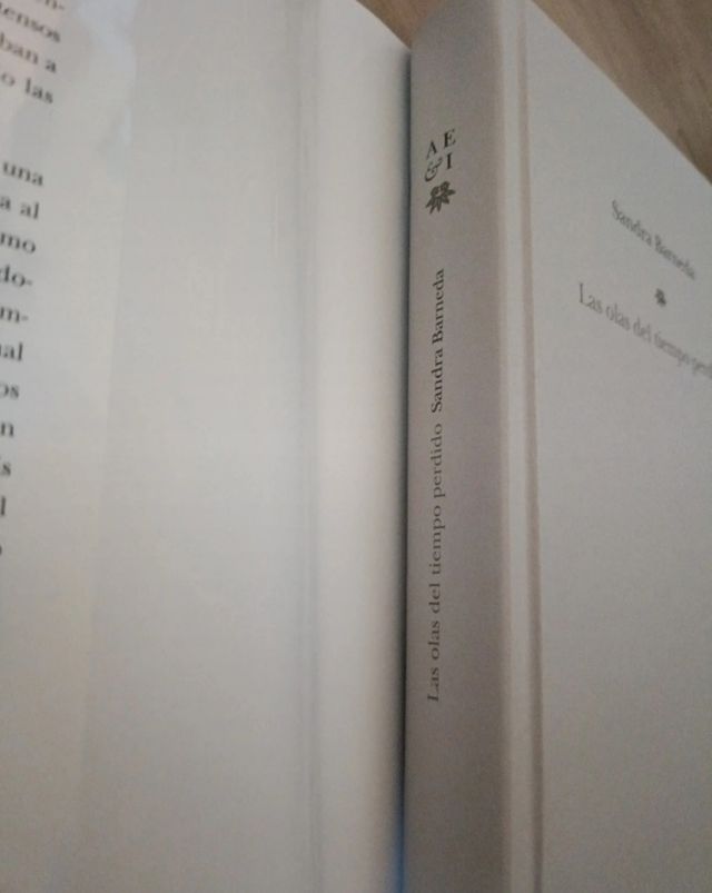 Las olas del tiempo perdido