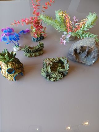 Decoracion acuario