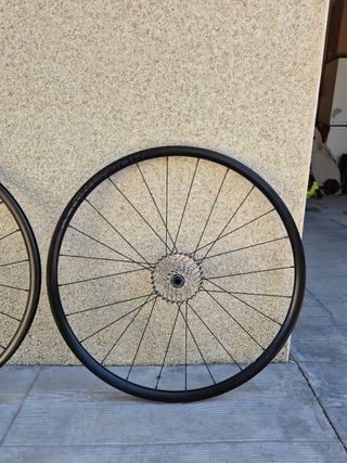 Ruedas Bontrager Paradigm Disc